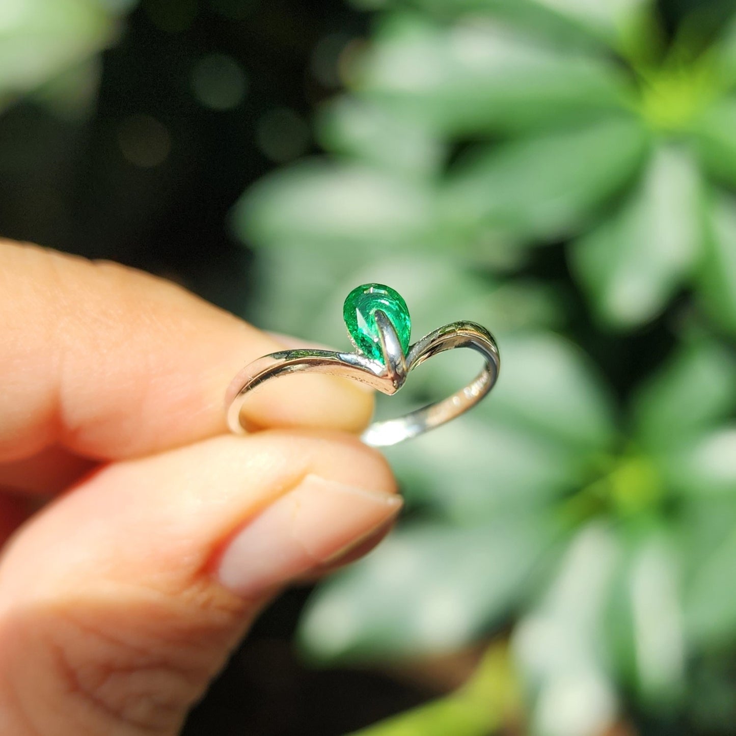 Anillo Tripoli
