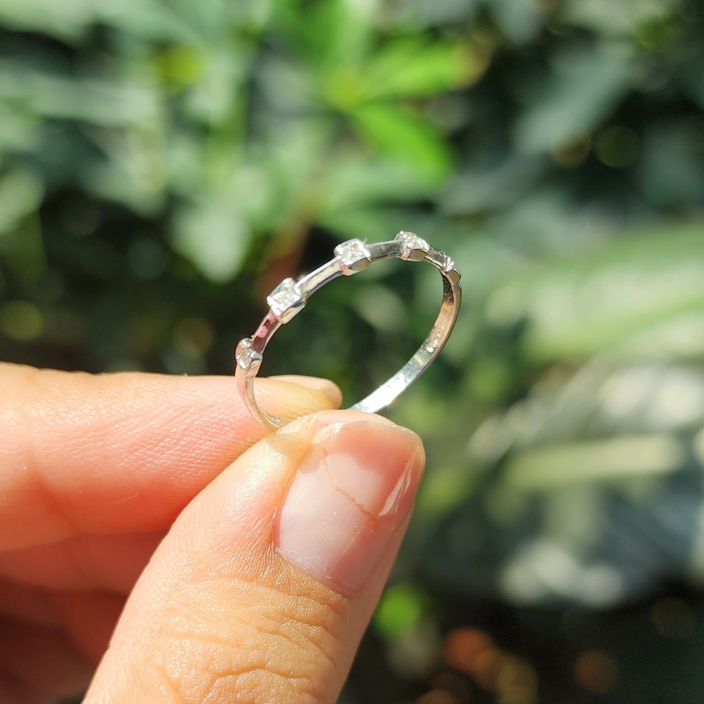 Anillo Africa