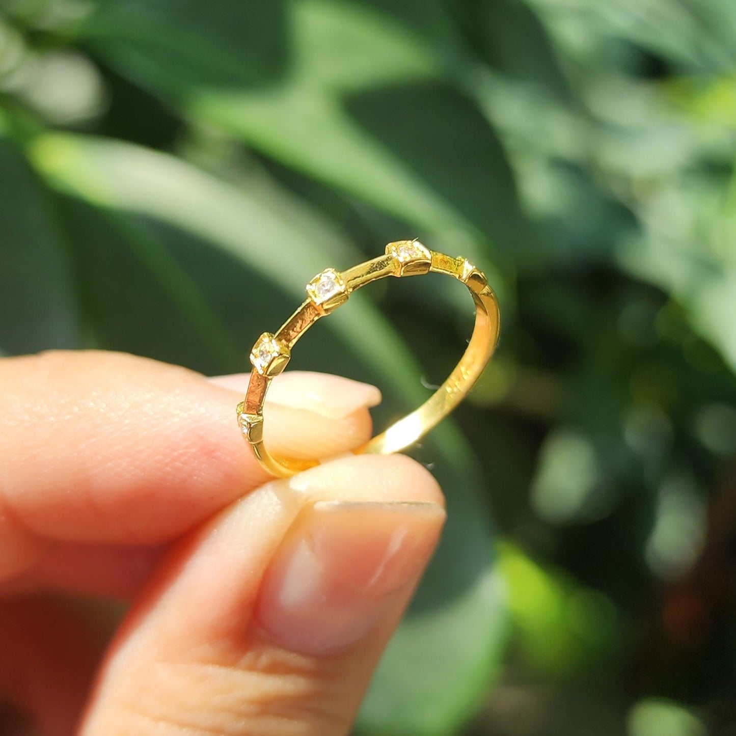 Anillo Africa