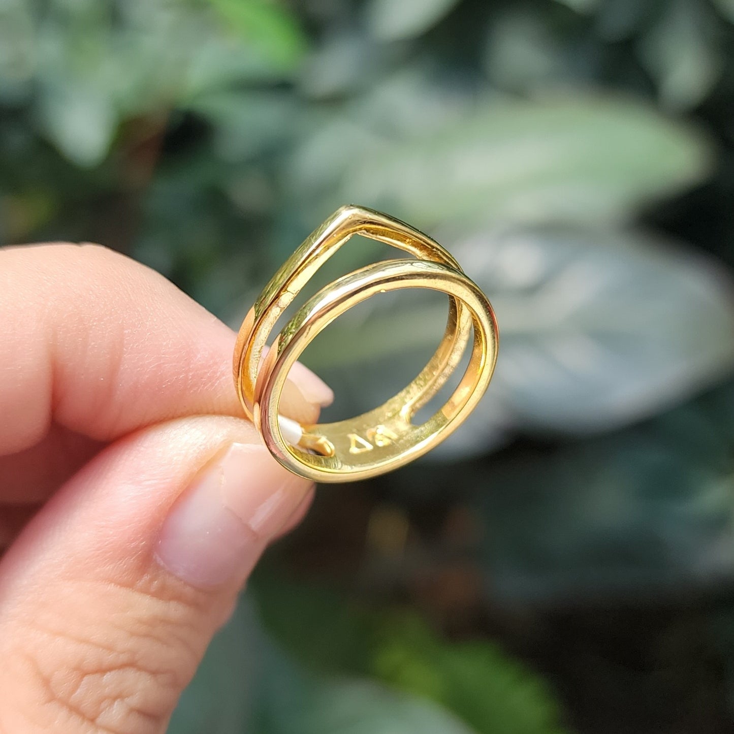 Anillo Everest