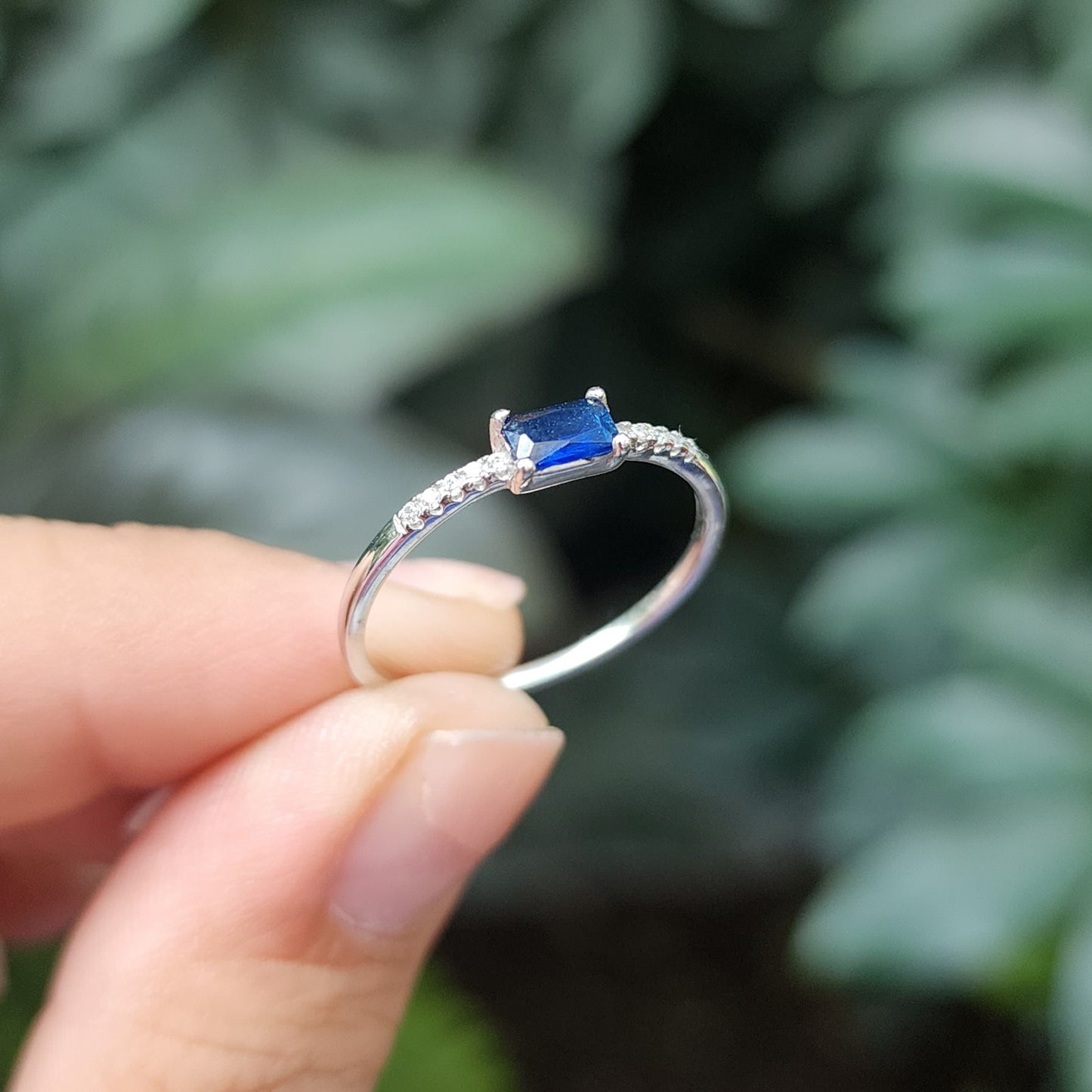 Anillo Ottawa