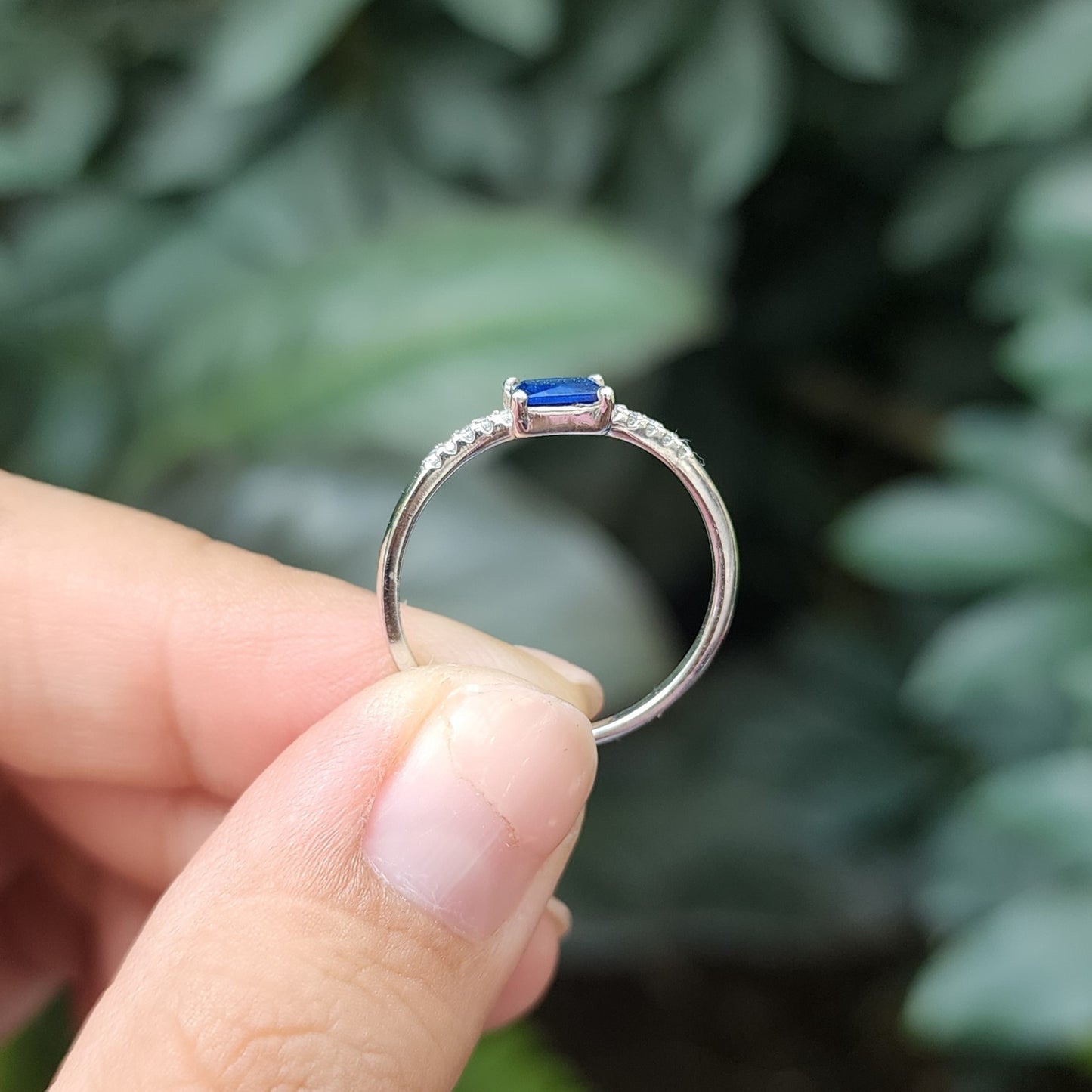 Anillo Ottawa