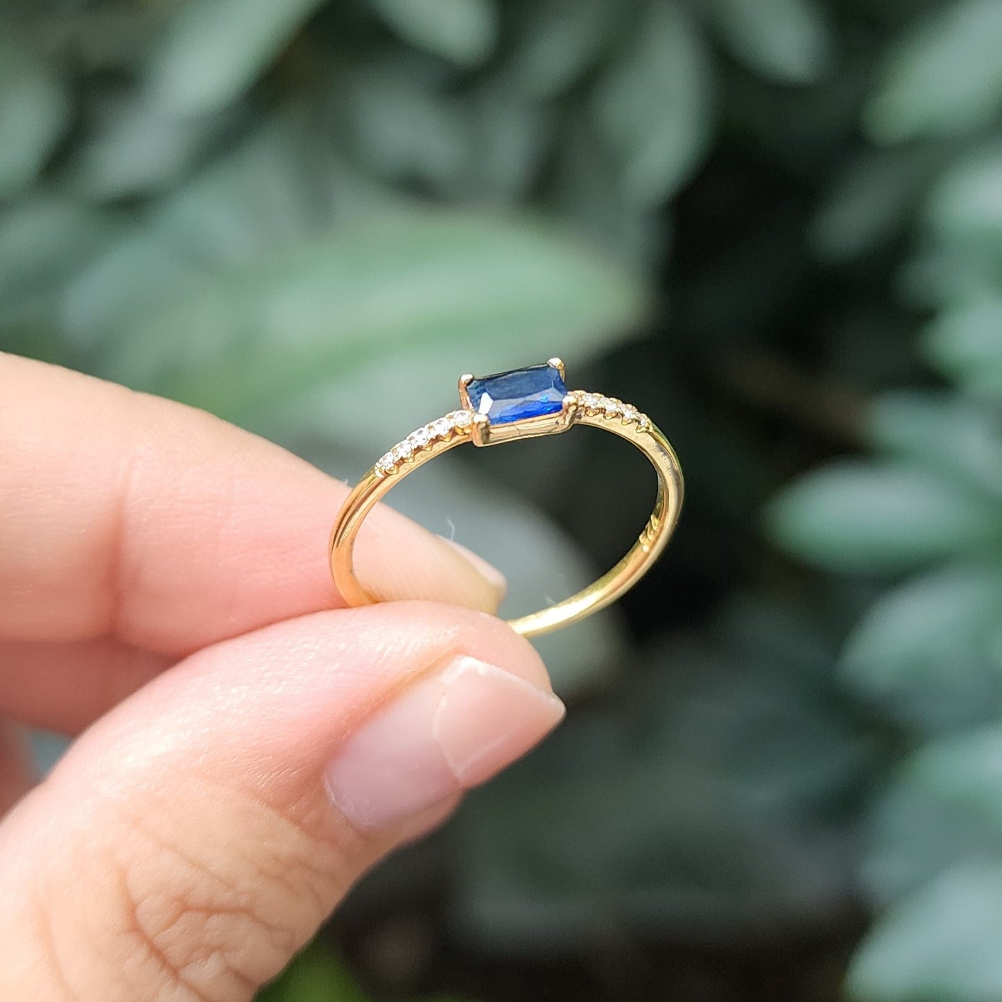 Anillo Ottawa