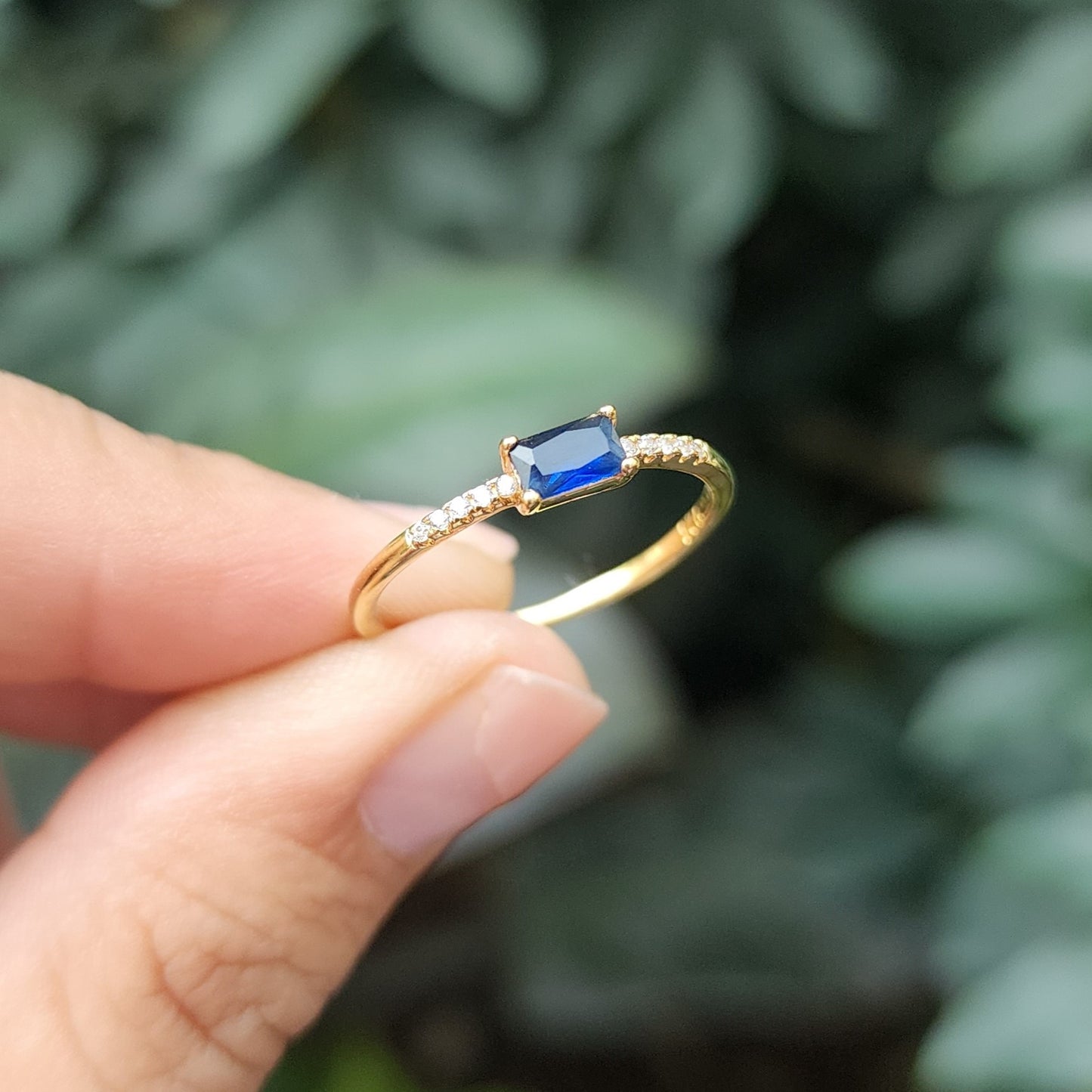Anillo Ottawa