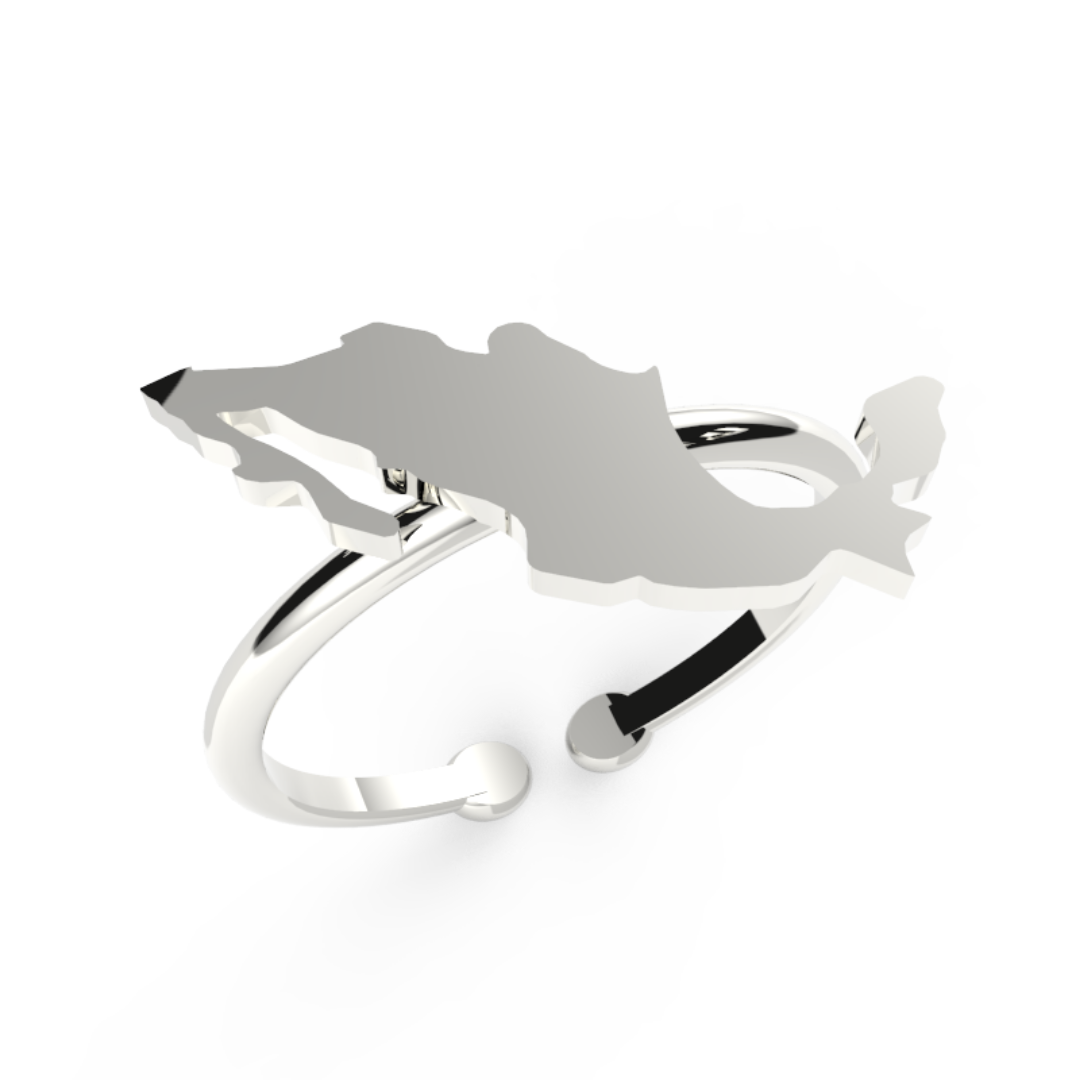 Anillo México
